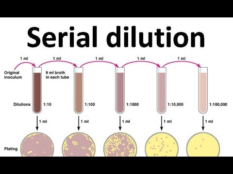 Serial dilution procedure